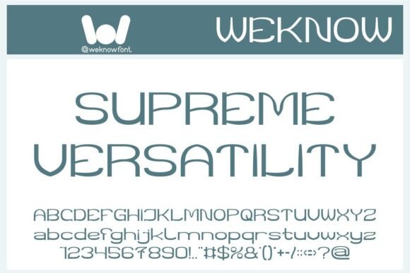 Supreme Versatility Font for Clean Campaigns